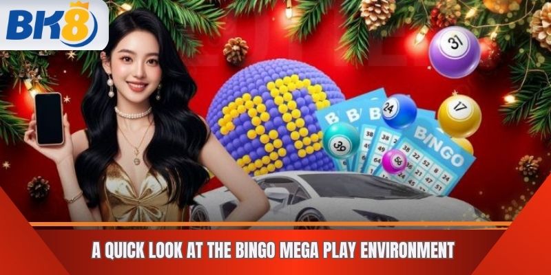 A Quick Look at the Bingo Mega Play Environment