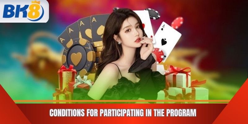 Conditions for Participating in the Program