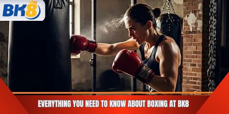 Everything You Need to Know About Boxing at BK8